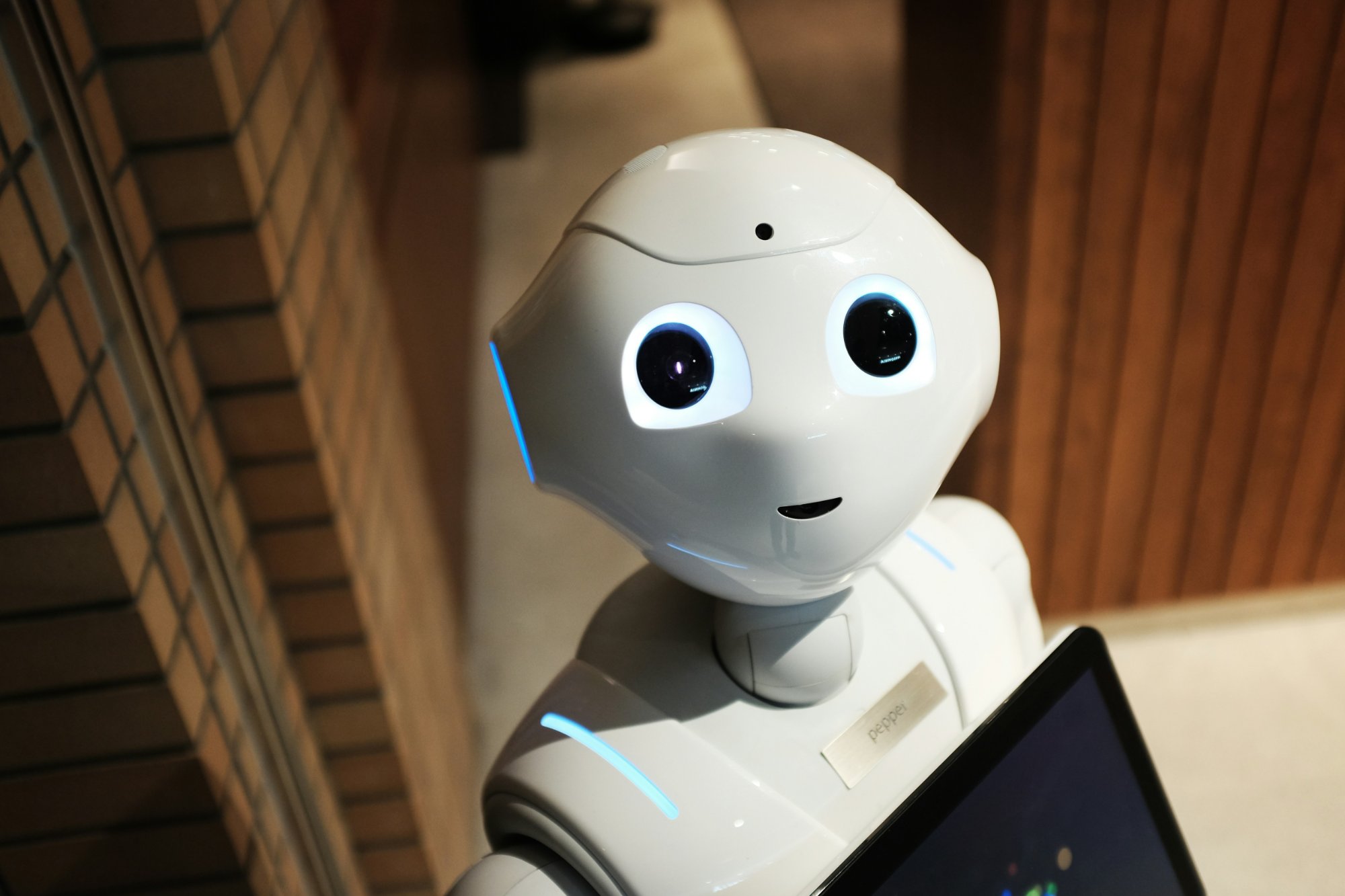 Data and AI advisory with Pepper robot